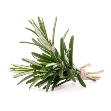 Розмарин ваг